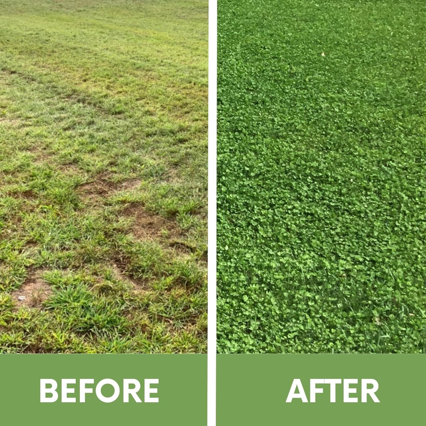 Flawn Seed Kits 2 Lbs Micro Clover Seed, Organic Coated, Eco-Friendly, Low Growing, Low Maintenance, Lawn Alternative, Kraft Zipper Pouch, Covers up to 7200 Sqft