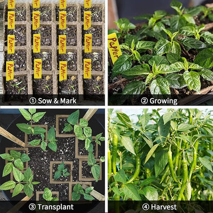 640Cells Seedling Start Trays,40 Pack Peat Pots Seedling Pots Biodegradable,Seedling Starter Kit,Organic Germination Plant Starter Trays