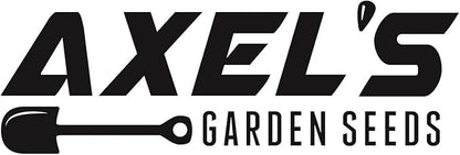 Kale Seeds for Planting - Plant & Grow Heirloom Kale Varieties Home Outdoor Garden – Easy Grow Planting Packet Instructions Included, Great Gardening Gift – 2 Packets of Each Variety