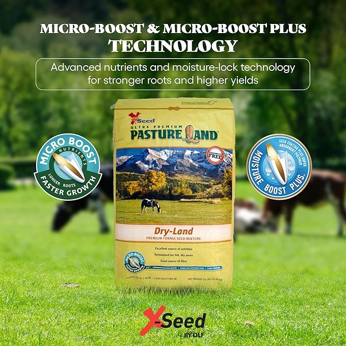 X-Seed Pasture Land Dry-Land Forage Seed Mixture with Micro-Boost – Tall Fescue Orchard Grass Ryegrass Endophyte Free Pasture for Safe Nutrition of Livestock, Formulated for Dry Areas – 25-Pound Bag