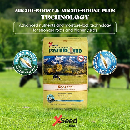 X-Seed Pasture Land Dry-Land Forage Seed Mixture with Micro-Boost – Tall Fescue Orchard Grass Ryegrass Endophyte Free Pasture for Safe Nutrition of Livestock, Formulated for Dry Areas – 25-Pound Bag