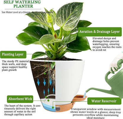6 Inch Self Watering Pots for Indoor Plants (5-Pack) – Small Plastic Planters with Water Window, Drainage Holes & Trays, Indoor Outdoor Flower Pots for Herbs, Succulents, Home Garden Decor (White)
