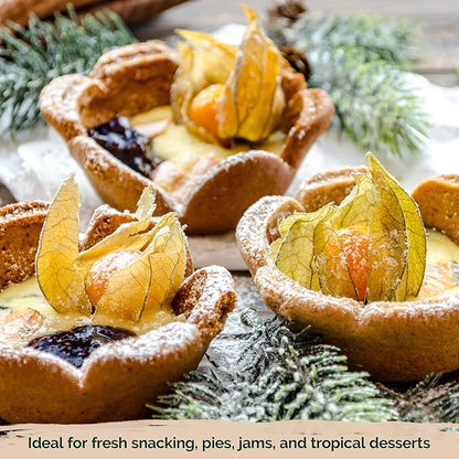 KVITER 650 Aunt Molly Ground Cherry Seeds for Planting (Physalis pruinosa) – Non GMO & Heirloom Pineapple Ground Husk Cherry Tomatoes, Organic Fruit Seeds – Tropical Flavor Berries