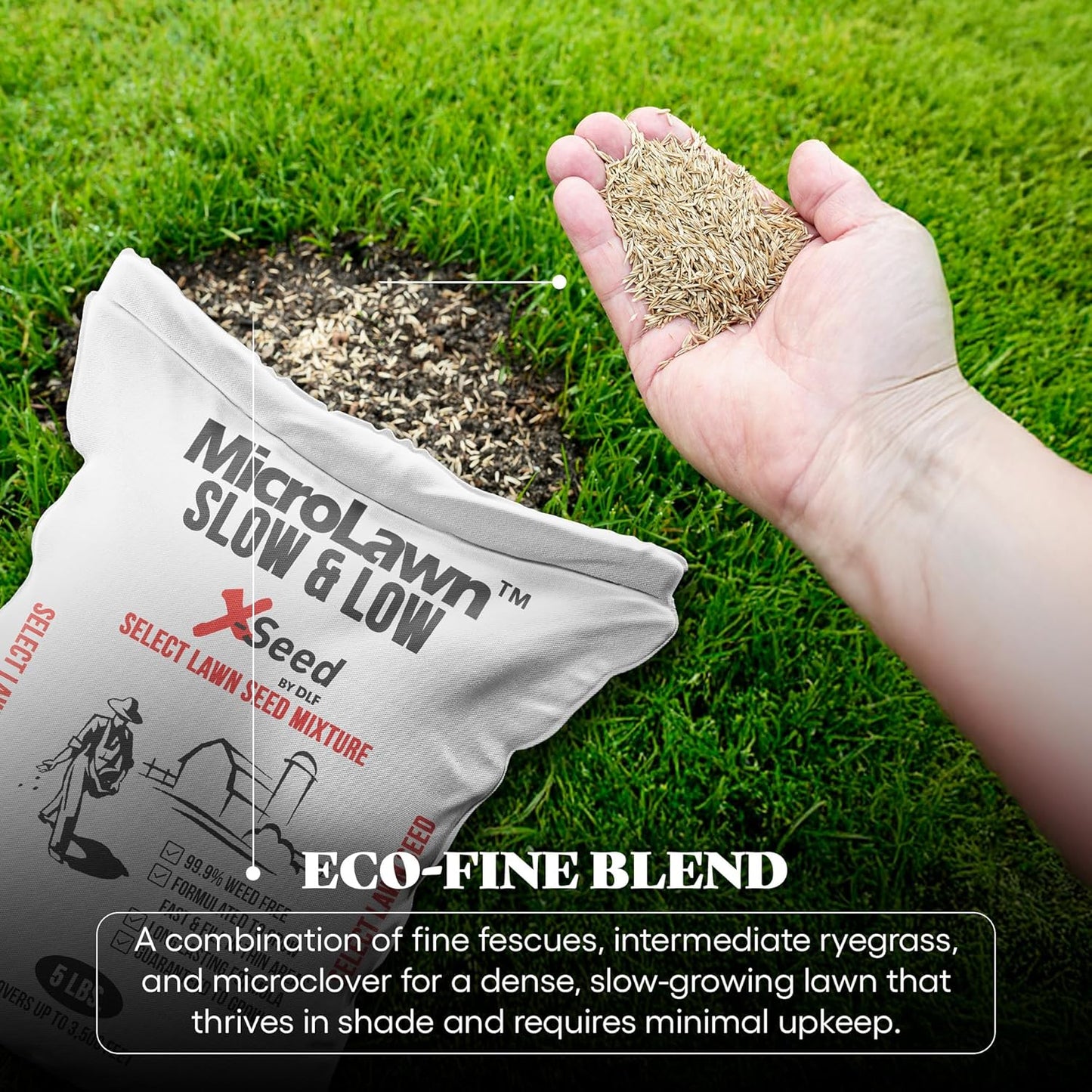 X-Seed Micro-Lawn Slow & Low Grass Seed for Cool Season Lawns, No Mow Natural Areas, Sun to Full Shade, Slow and Low Growing Micro Clover, Creeping Red Fescue, Intermediate Ryegrass, Starter Bag, 5LB