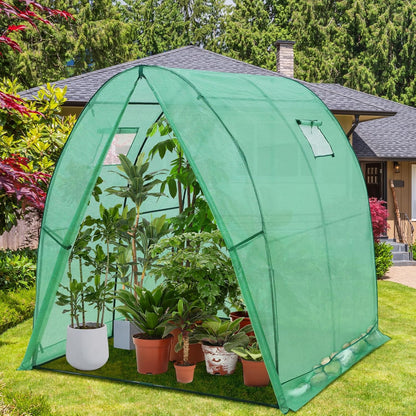 EAGLE PEAK Tunnel Greenhouse Garden Green House with Zippered Door and 2 Roll-up Side Windows, 70.9"x70.9"x78.7", Clear/Green