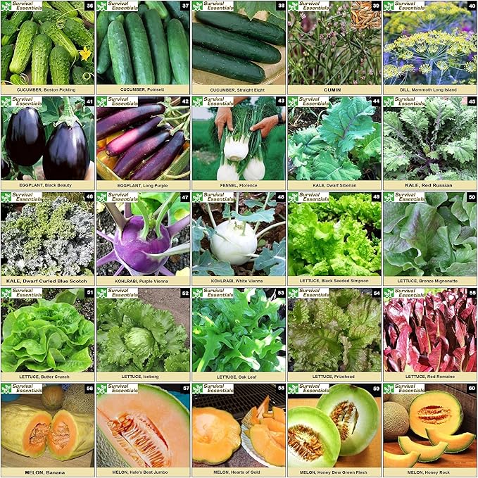 Heirloom Seeds for Planting Vegetables and Fruits - Survival Essentials 135 Variety Seed Vault - Medicinal Herb Seeds - Grow Healthy Non-GMO Food