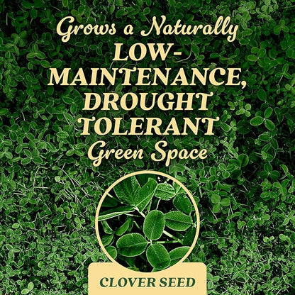 O.M. Scott and Sons Clover Seed, Lawn Seed Grows a Naturally Low Maintenance, Drought-Tolerant Lawn, 1,000 sq. ft., 2 lb.