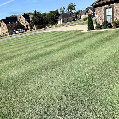 Outsidepride Yukon Bermuda Grass Seed - 1 lbs Cold & High Traffic Tolerant, Premium Hybrid Bermuda Turf Grass Seeds for Lawn, Ideal Low Maintenance Seed Grass for Colder & Challenging Area