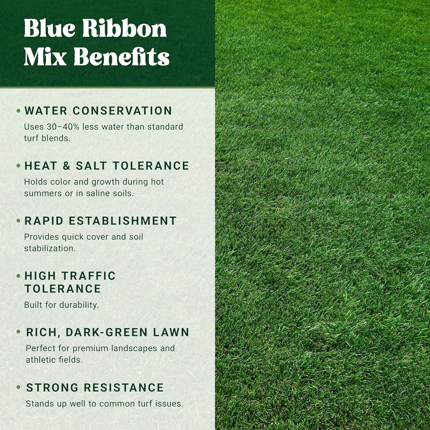 Nature’s Seed TWCA Water-Wise Blue Ribbon Mix, Kentucky Bluegrass and Perennial Ryegrass Grass Seed Blend, High-Traffic, Shade Tolerant, for Garden, Lawn, Yard, 5 lbs