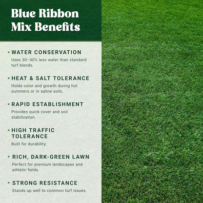 Nature’s Seed TWCA Water-Wise Blue Ribbon Mix, Kentucky Bluegrass and Perennial Ryegrass Grass Seed Blend, High-Traffic, Shade Tolerant, for Garden, Lawn, Yard, 5 lbs