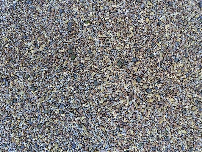 Premium Chicken Poultry Pasture Forage and Fodder Seeds (1-lb. Bag) - [33% Each: Clovers, Supplemental, Grains]