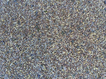 Premium Chicken Poultry Pasture Forage and Fodder Seeds (1-lb. Bag) - [33% Each: Clovers, Supplemental, Grains]