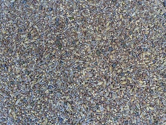 Premium Chicken Poultry Pasture Forage and Fodder Seeds (1-lb. Bag) - [33% Each: Clovers, Supplemental, Grains]