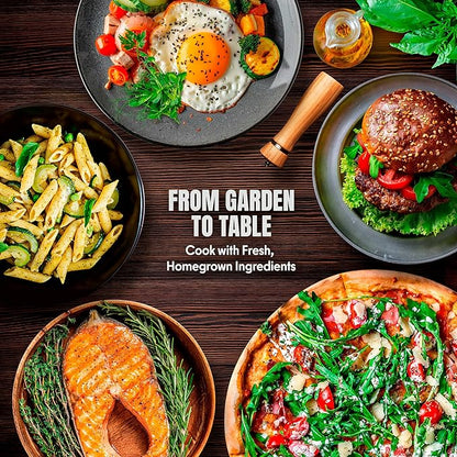 15 Lettuce & Salad Greens Seeds Variety Pack Lettuce Garden Salad Kit with Plant Labels 7300+ Non-GMO Heirloom Arugula Spinach Kale Iceberg Lettuce Seeds for Planting Outdoors Indoors