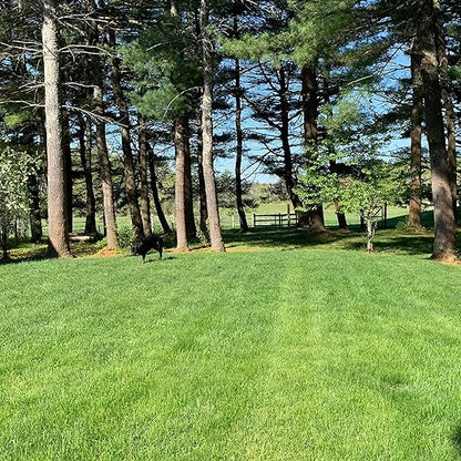 Purely Organic Products Lawn Food 10-0-2, 100 LB (Covers 25,000 Square Feet)