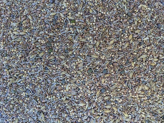 Premium Chicken Poultry Pasture Forage and Fodder Seeds (1-lb. Bag) - [33% Each: Clovers, Supplemental, Grains]