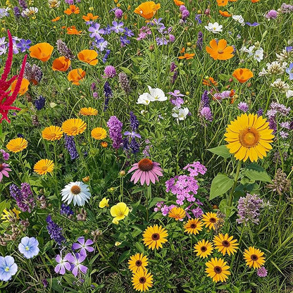 Ferry-Morse Pollinator Lover’s Mix Bulk Wildflower Seeds, 1lb