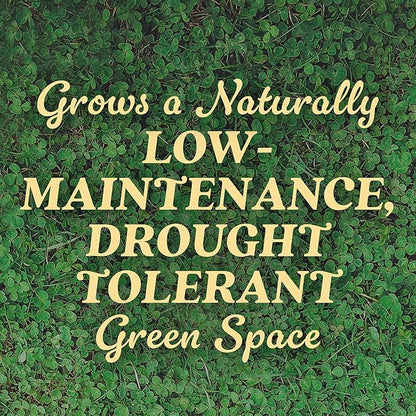 O.M. Scott and Sons Clover Seed, Lawn Seed Grows a Naturally Low Maintenance, Drought-Tolerant Lawn, 1,000 sq. ft., 2 lb., 2-Pack
