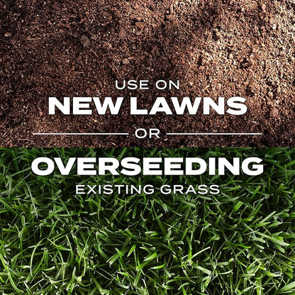 Scotts Turf Builder Rapid Grass Southern Gold Blend for Tall Fescue Lawns, Combination Seed and Fertilizer, 5.6 lbs.