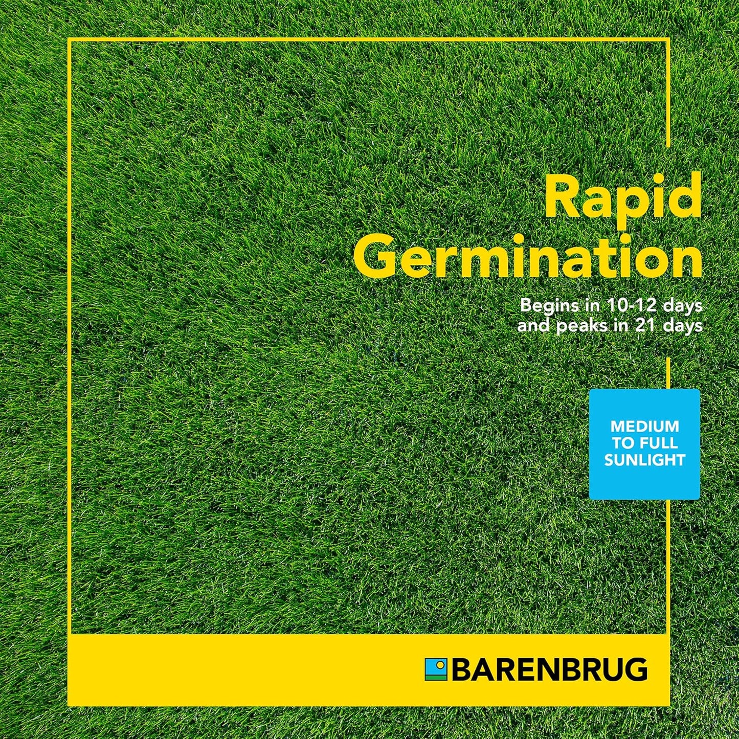 Barenbrug Turf Blue Pro Kentucky Bluegrass Lawn Seed with Yellow Jacket Seed Coating, All-Season Durable Grass Mix for Lawns, 10-lb. Bag