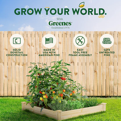Greenes Fence Original Pine Raised Garden Bed, 4' x 4' x 7" (2-Pack) - Made in USA with American Pine