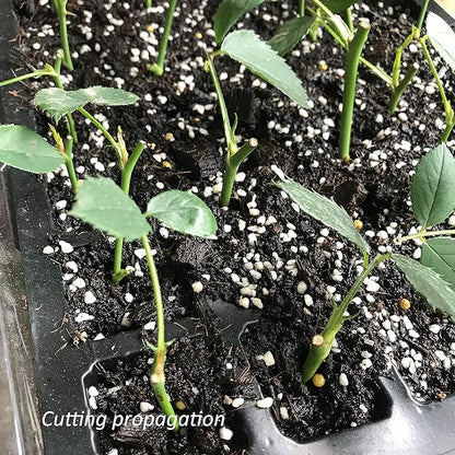 Gardzen 10-Set Garden Propagator Set, Seed Tray Kits with 400-Cell, Seed Starter Tray with Dome and Base 15" x 9" (40-Cell Per Tray)