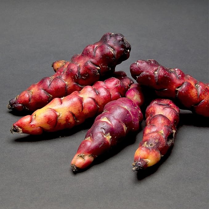 Easy to Grow Oxalis Regnellii Lucky Shamrock 20 Plant Bulbs - Green Foliage & White Flowers in Spring to Summer, Containers Indoor Outdoor Zones 6-10